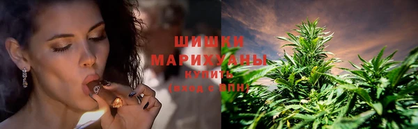 ешки Медногорск