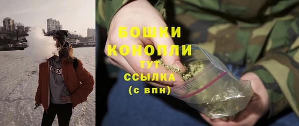 2c-b Мегион