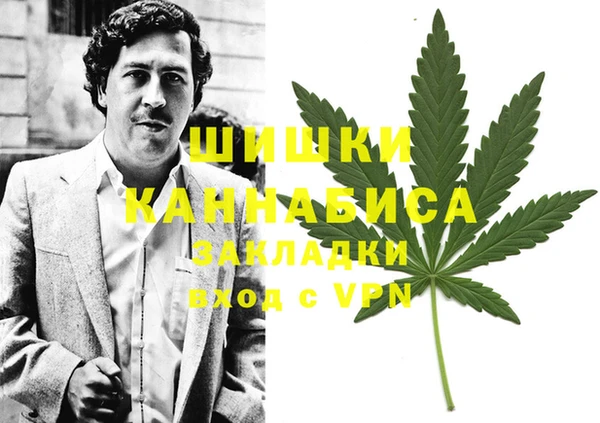 ешки Медногорск