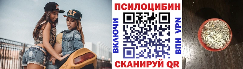 ссылка на мегу ССЫЛКА  наркота  Талица  Псилоцибиновые грибы Psilocybine cubensis 